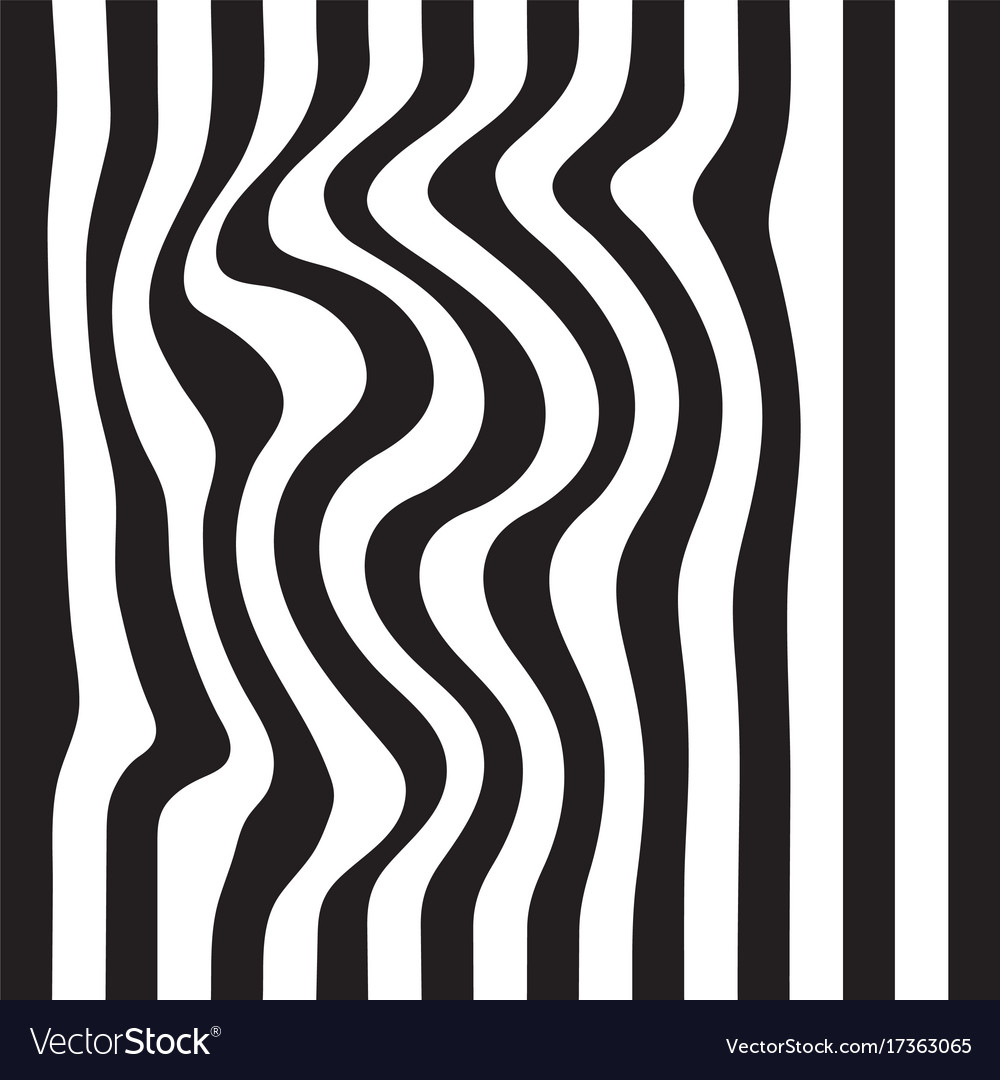 Striped abstract background black and white zebra Vector Image