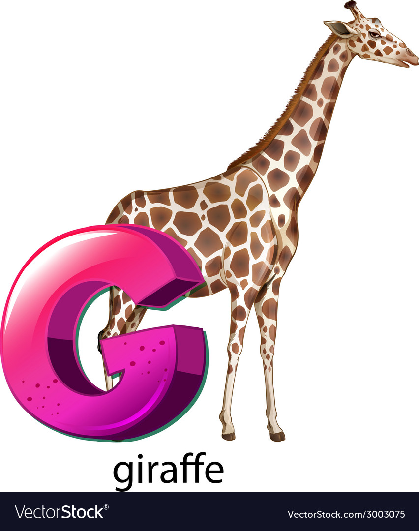 A letter G for giraffe Royalty Free Vector Image