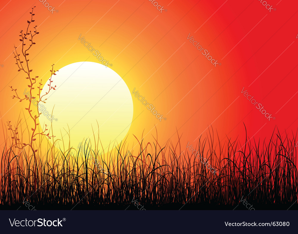 Magic sunset Royalty Free Vector Image - VectorStock