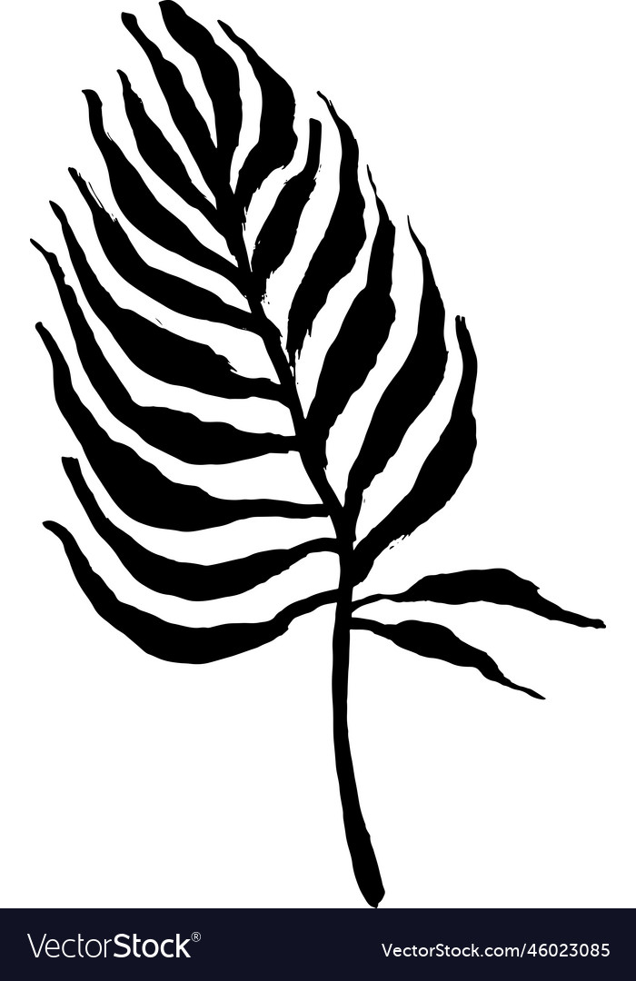 Artwork brush palm tree leaf silhouette Royalty Free Vector