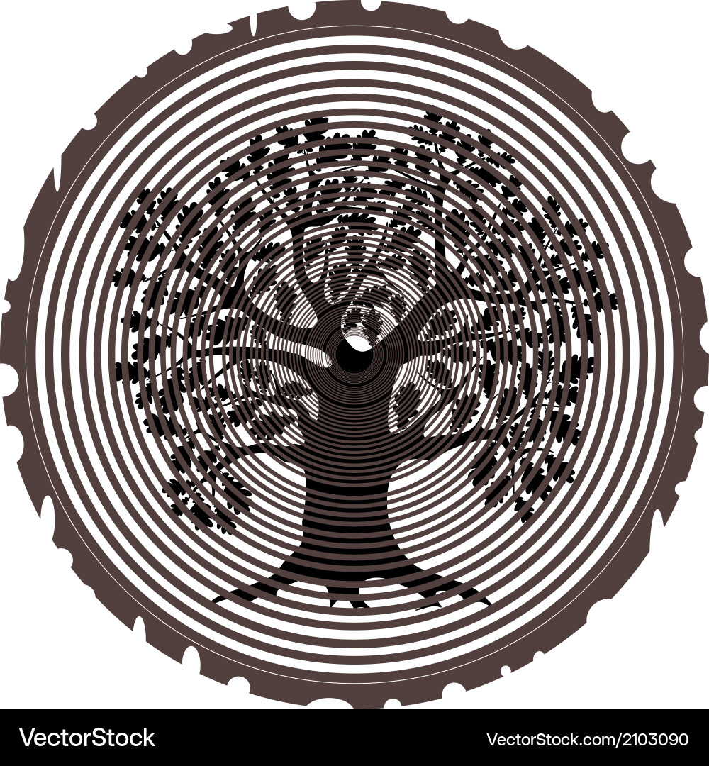 Oak Royalty Free Vector Image - VectorStock
