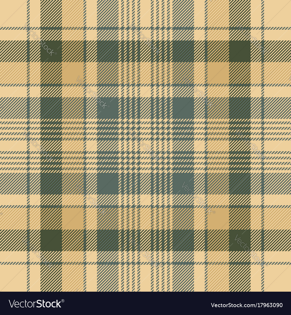 Tartan check plaid seamless fabric texture Vector Image