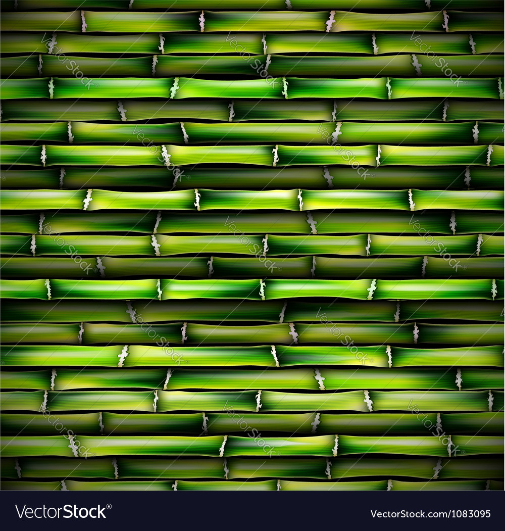 Background bamboo Royalty Free Vector Image - VectorStock