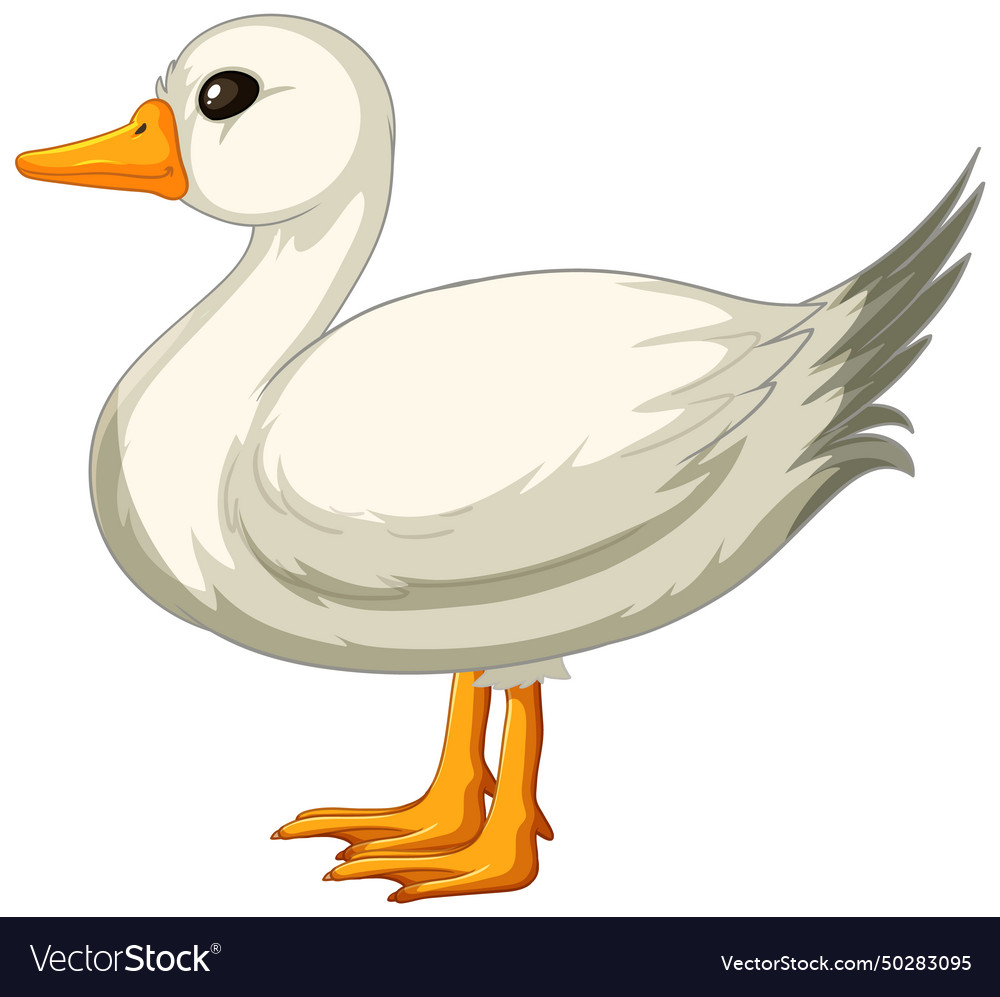 Cartoon of a cute white duck standing Royalty Free Vector