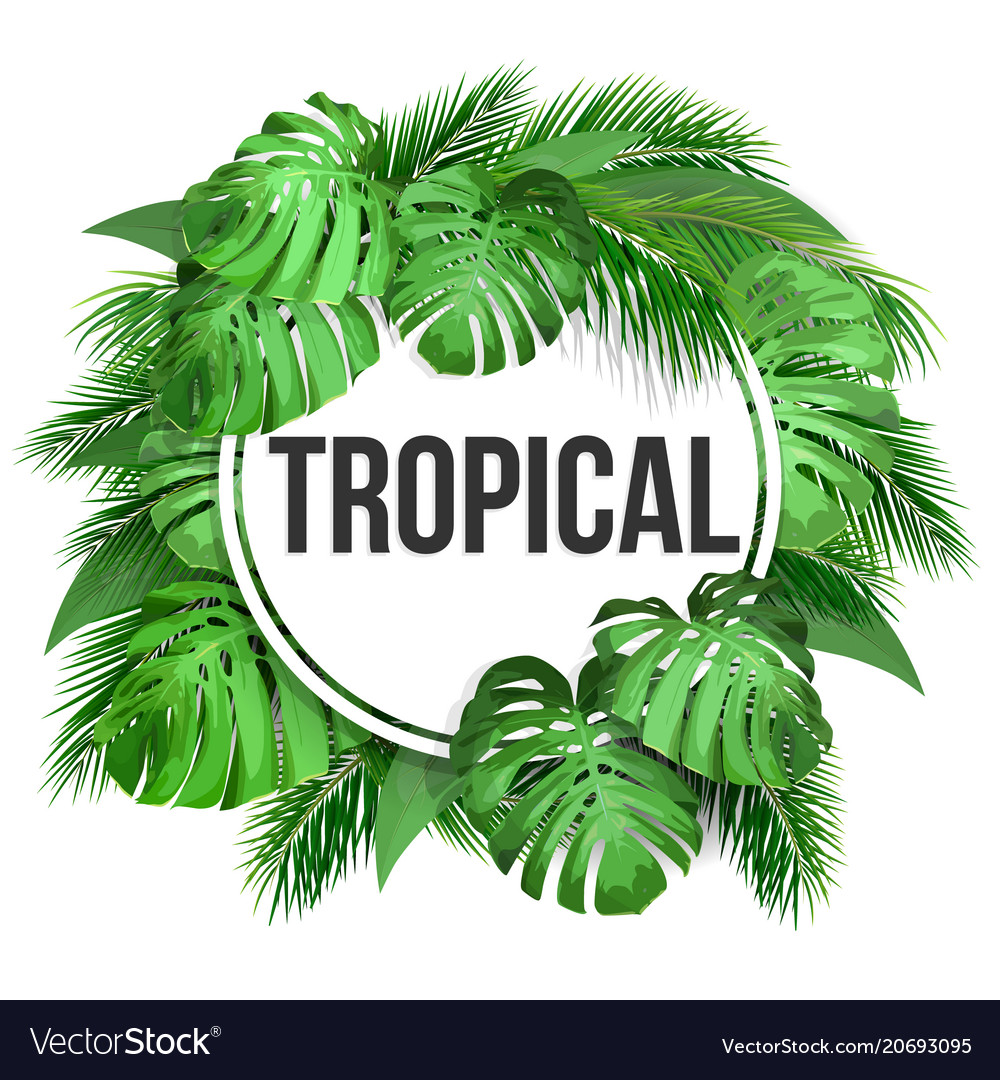 Round frame with tropical leaves Royalty Free Vector Image