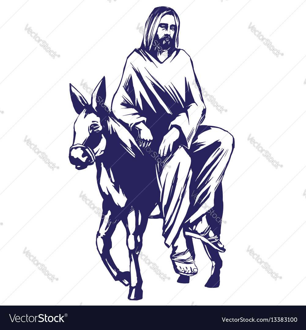 Palm sunday jesus christ rides on a donkey Vector Image