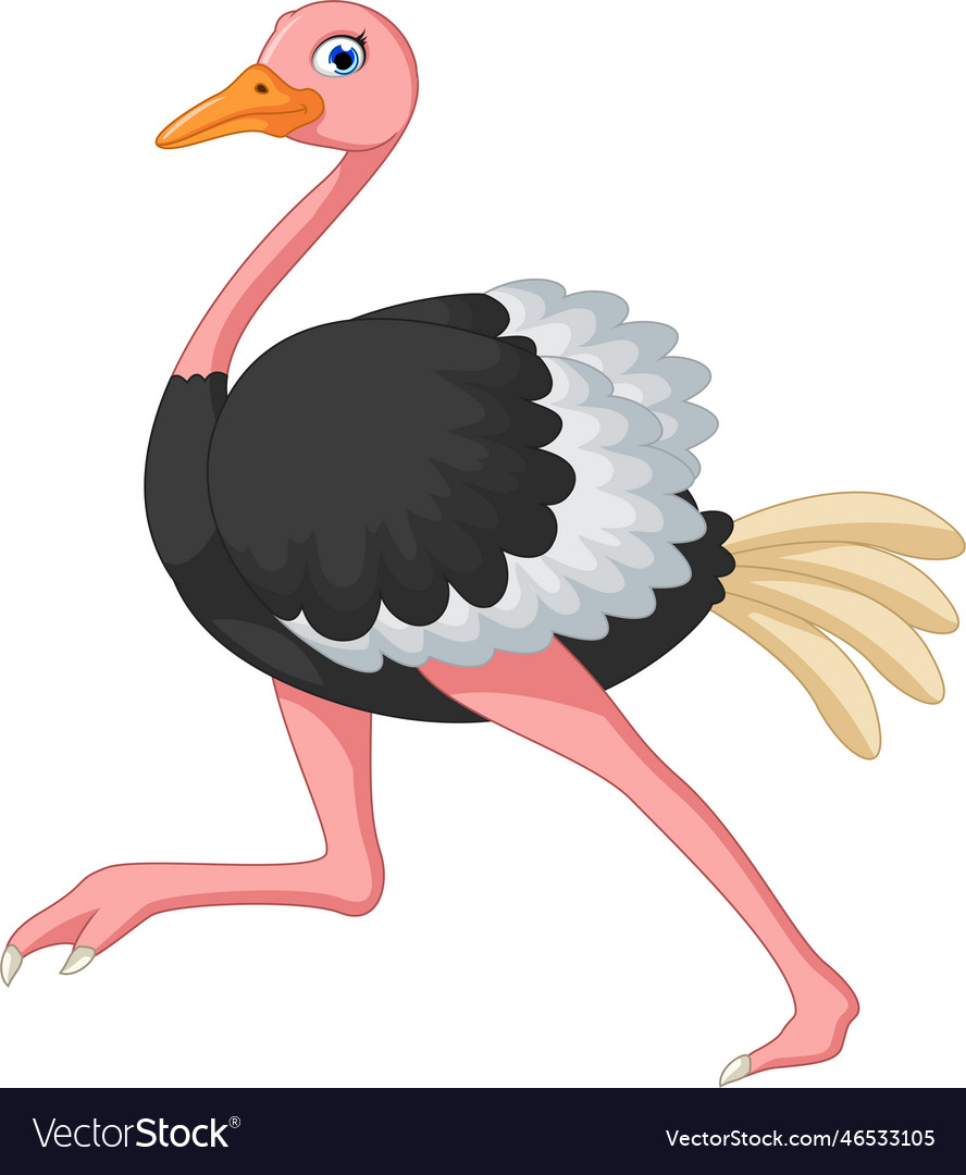 Ostrich cartoon posing Royalty Free Vector Image