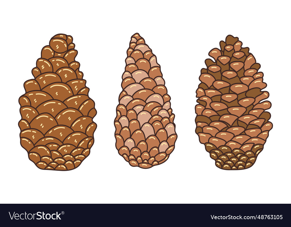 Set of three brown pine cones doodle Royalty Free Vector