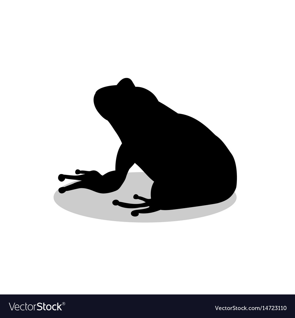 Frog amphibian black silhouette animal