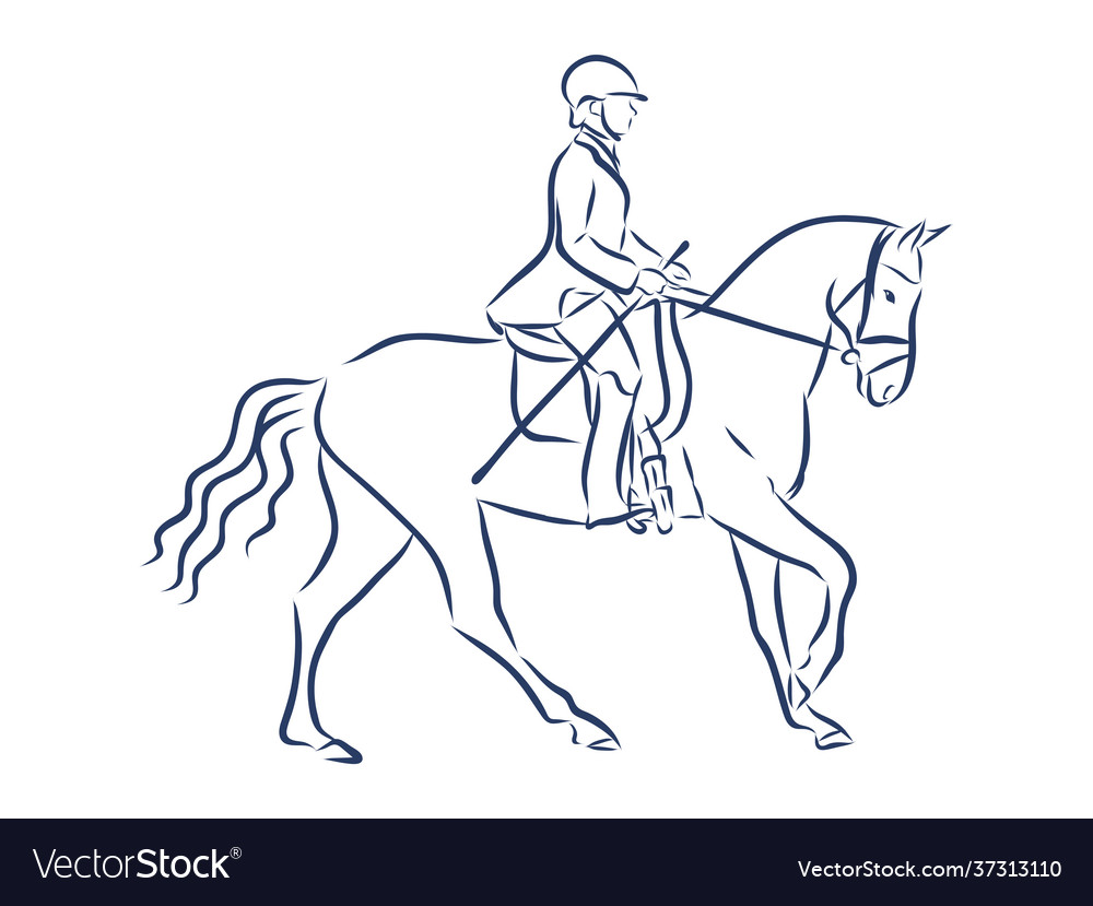 Horseback riding horsemanship sport contour Vector Image