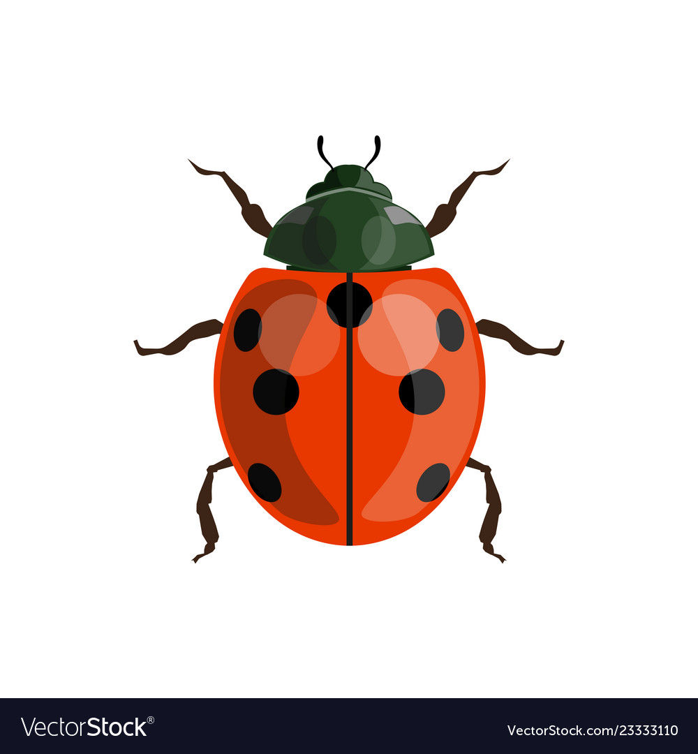 Free Free 311 Free Ladybug Svg SVG PNG EPS DXF File