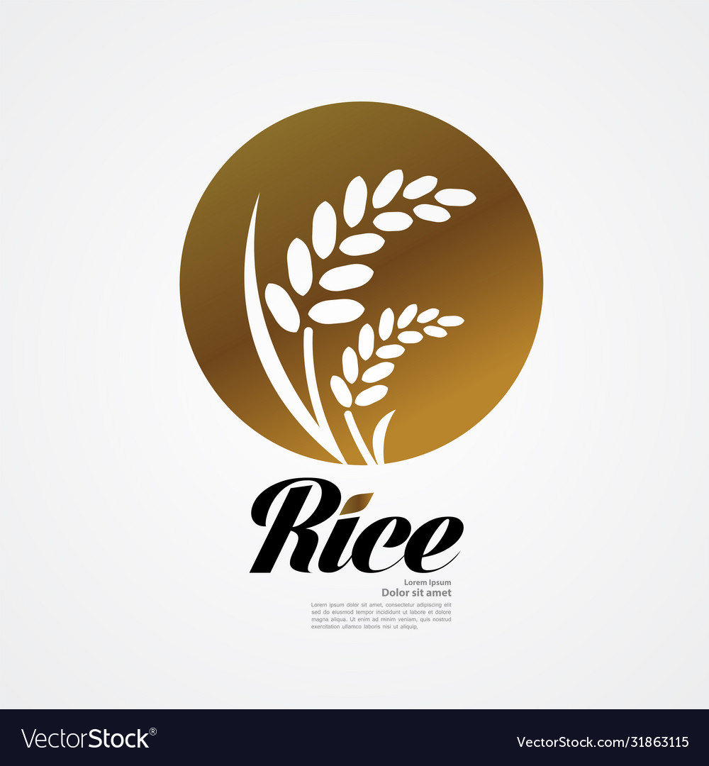 Premium rice great quality Royalty Free Vector Image