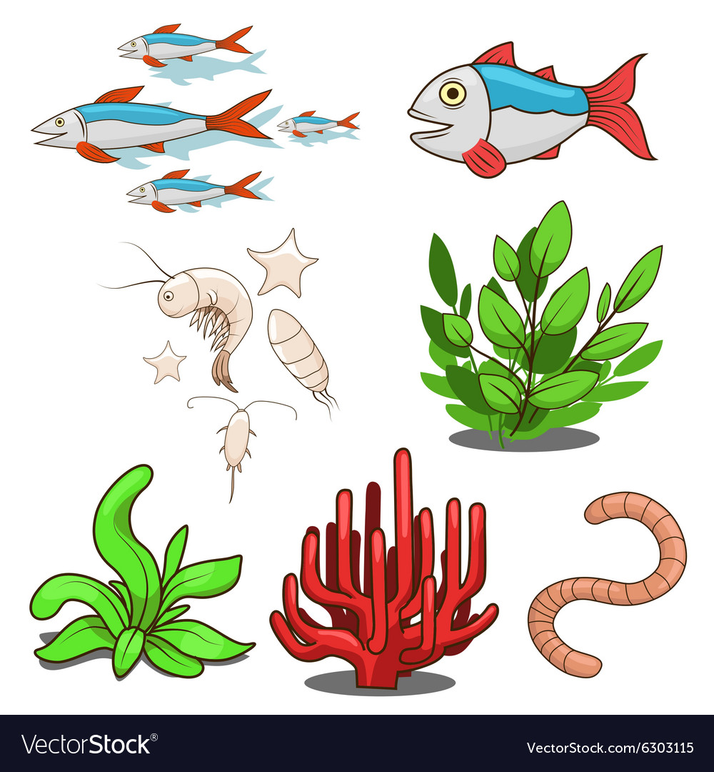 Water animals fish food Royalty Free Vector Image Water animals fish food Royalty Free Vector Image