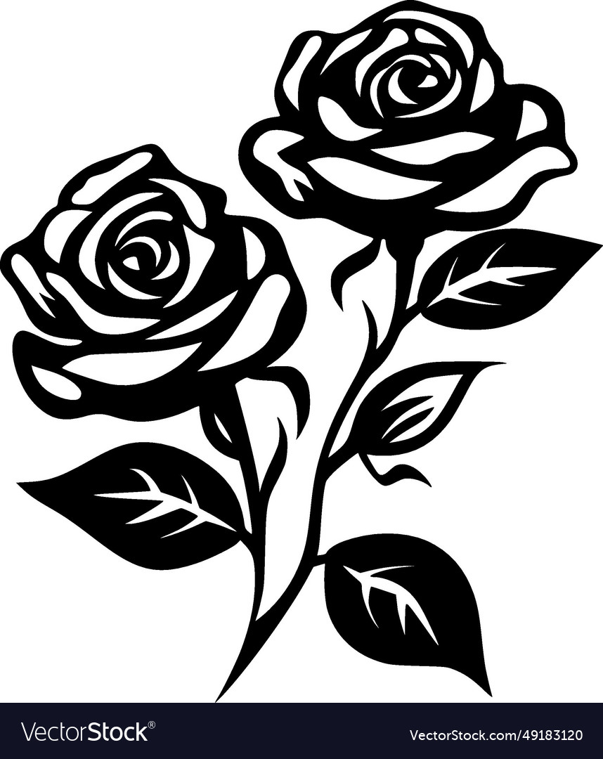 Roses - high quality logo ideal for t-shirt Vector Image