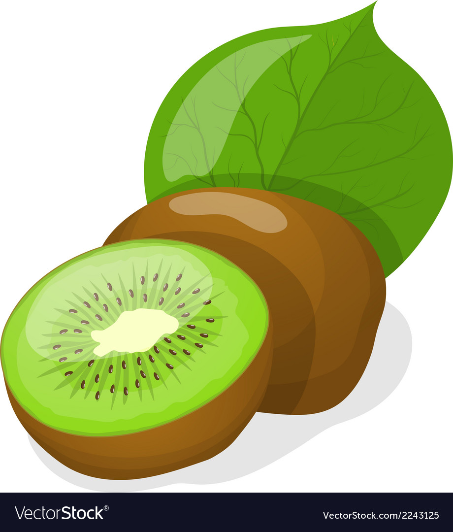 Isolated kiwi fruits