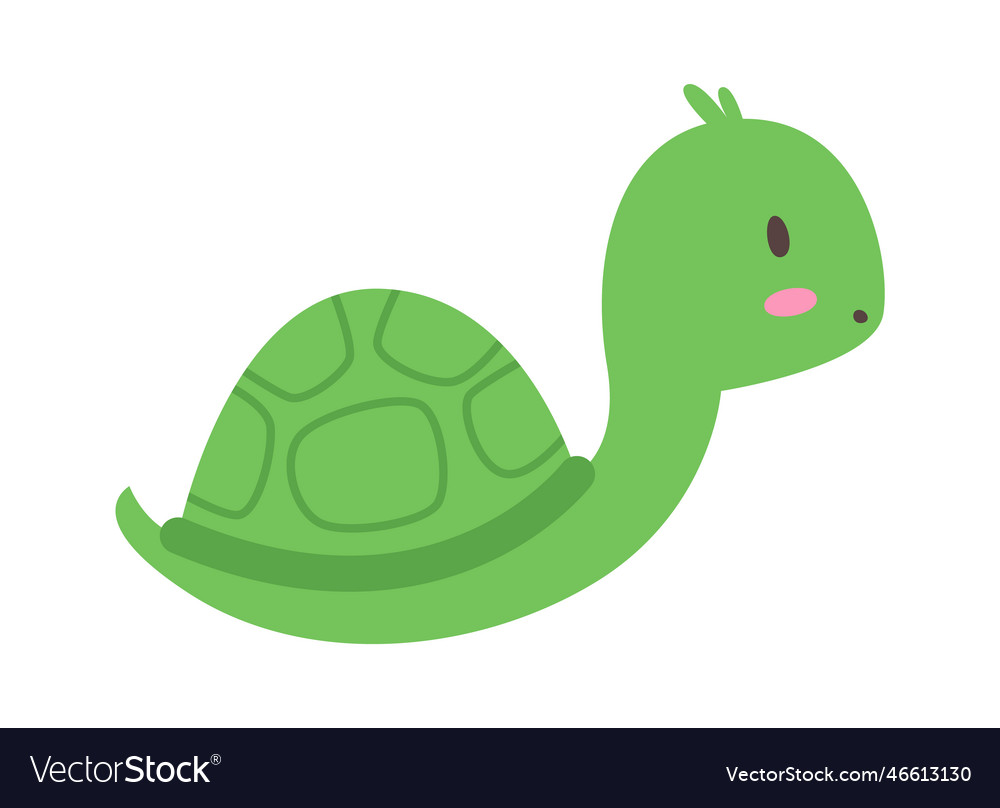 Cartoon turtle animal Royalty Free Vector Image