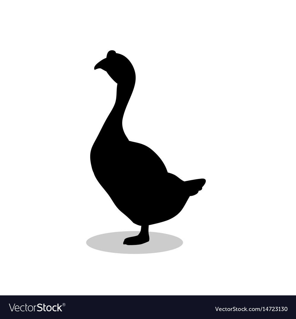 Goose bird black silhouette animal