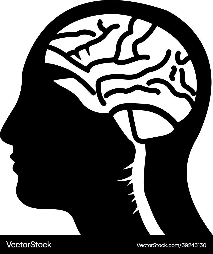 Human brain Royalty Free Vector Image - VectorStock