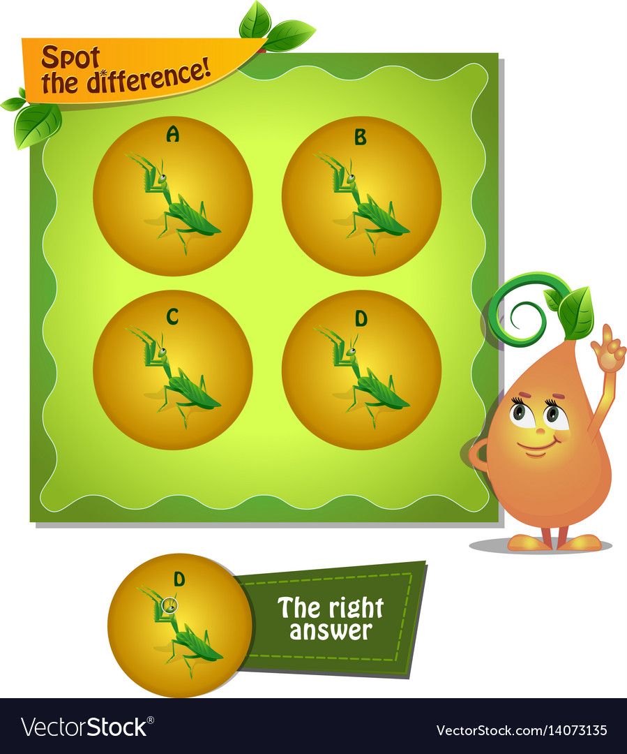 Mantis spot difference Royalty Free Vector Image