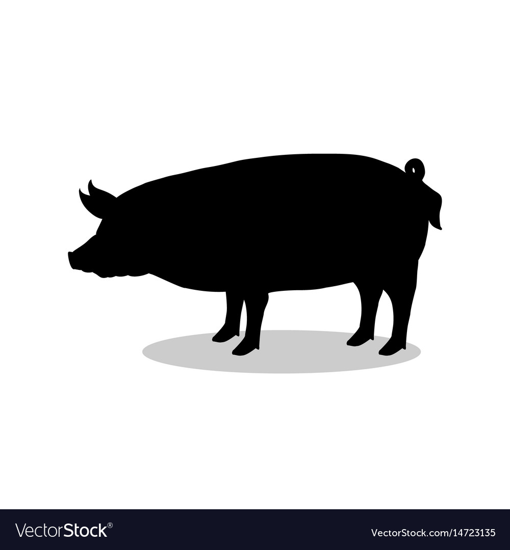 Pig farm mammal black silhouette animal