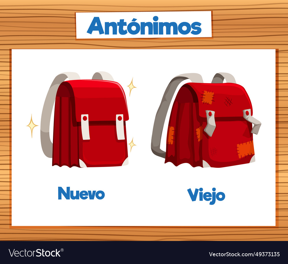 Spanish language education nuevo and viejo Vector Image