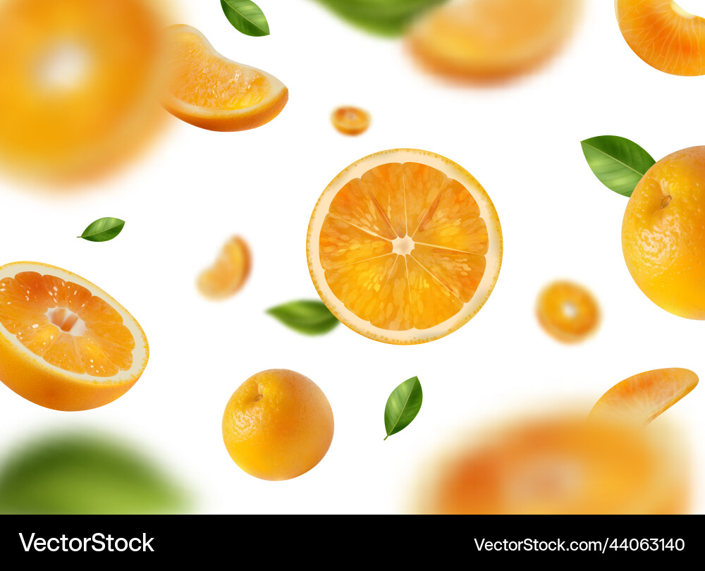 Realistic oranges background Royalty Free Vector Image