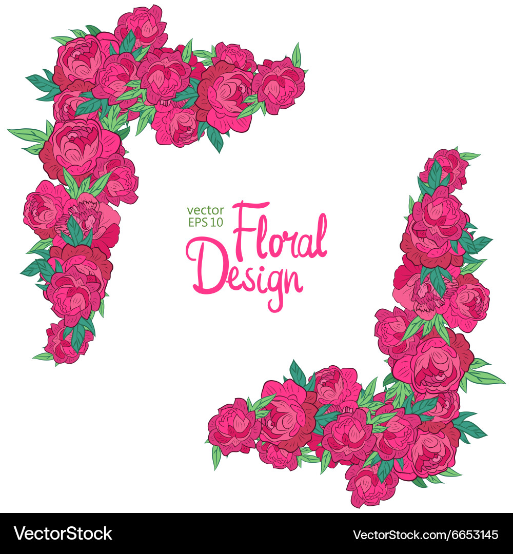 Corner with peonies Royalty Free Vector Image - VectorStock
