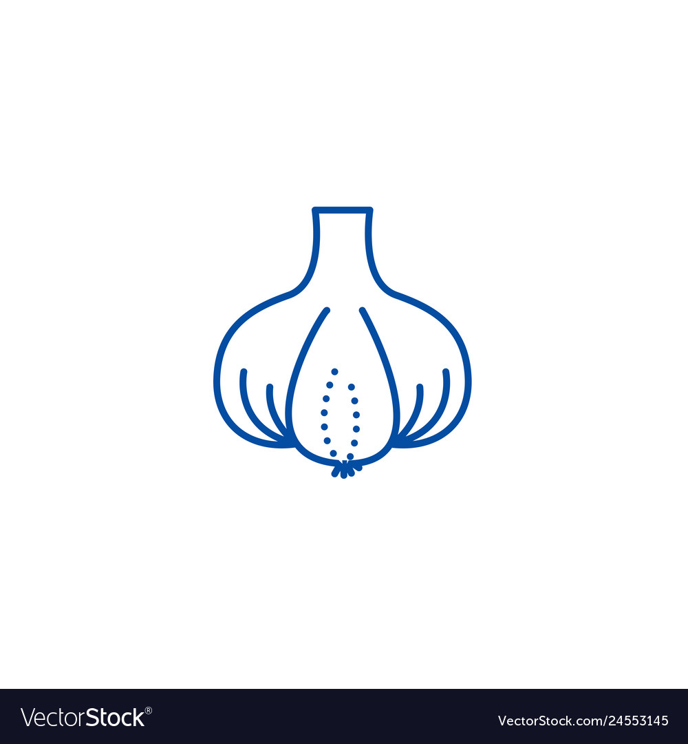 Garlic line icon concept flat