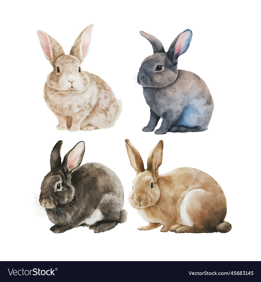 Watercolor of a cute fluffy grey rabbit Royalty Free Vector