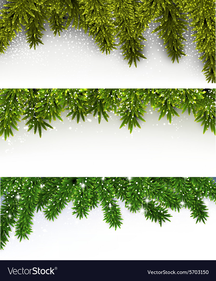 Christmas banners with spruce branches