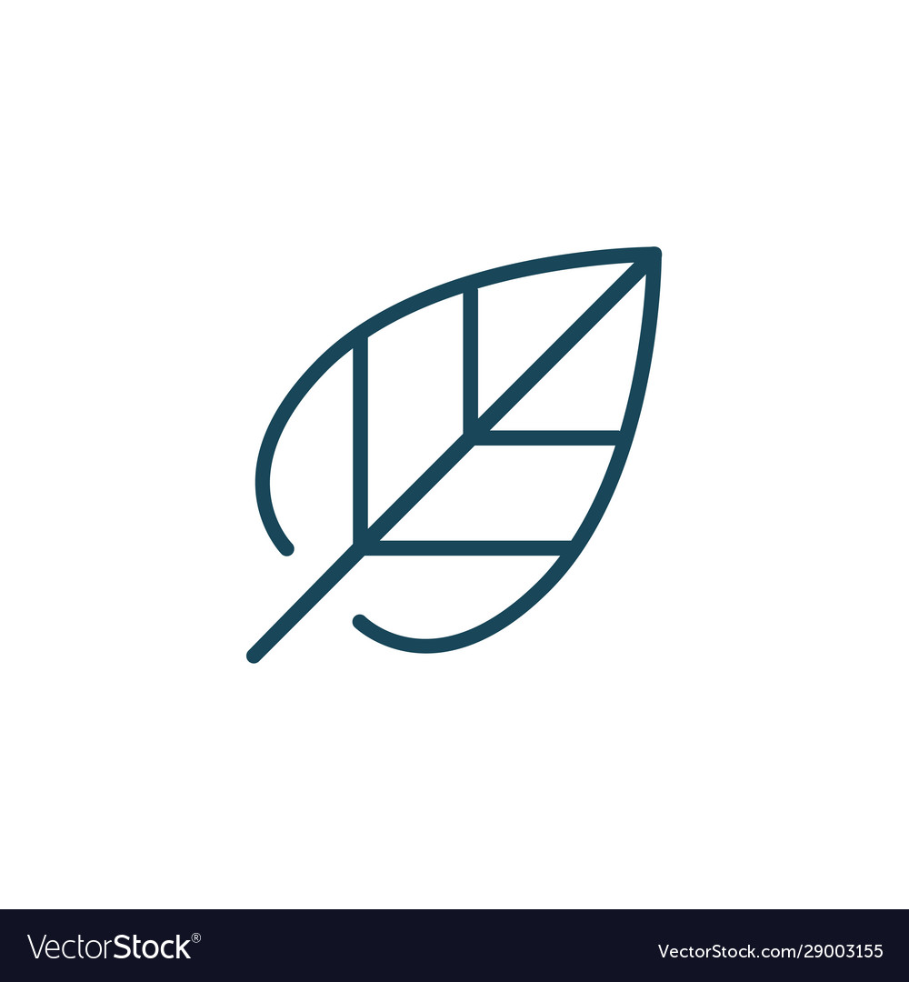 Leaf linear outline icon or logo isolated