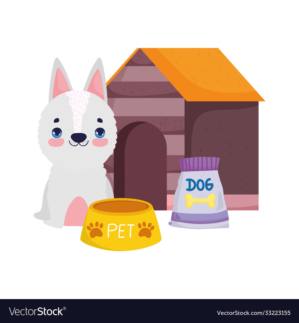 pet shop bowl