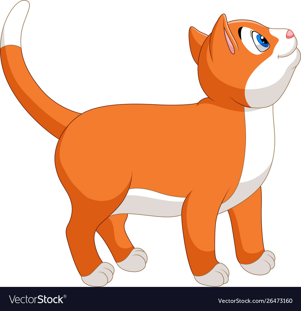 Smiling cat cartoon isolated on white background Vector Image