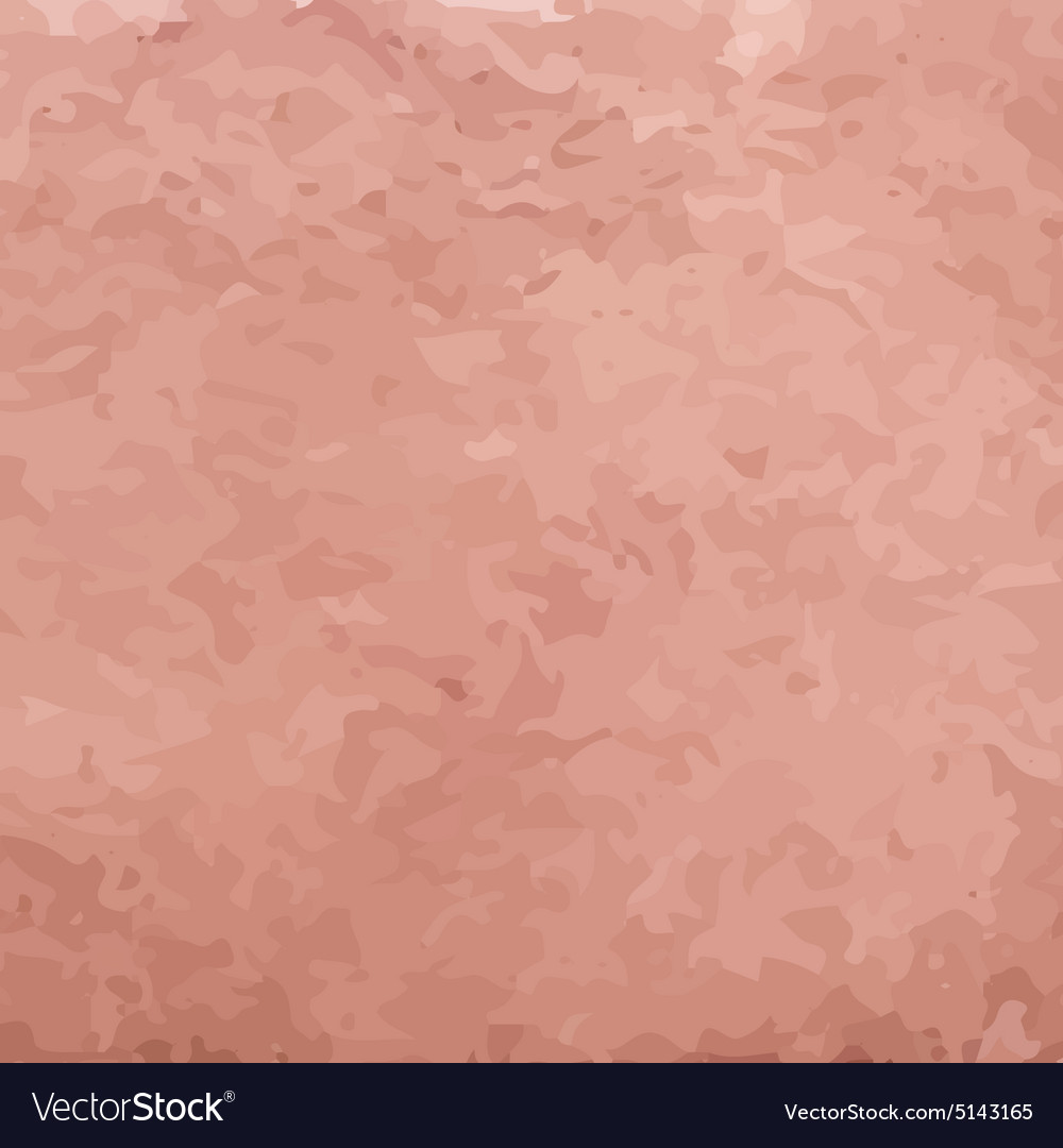 Brown watercolor background Royalty Free Vector Image