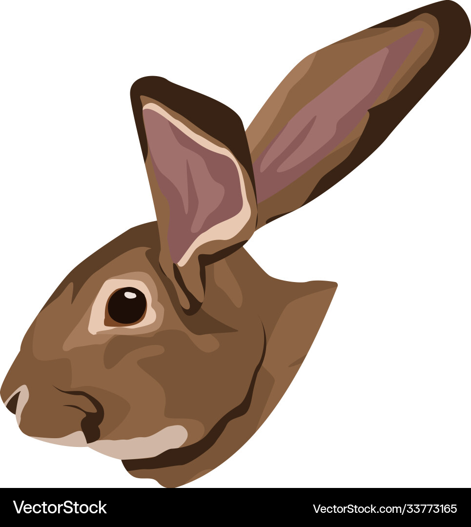 Cute wild rabbit animal nature head Royalty Free Vector