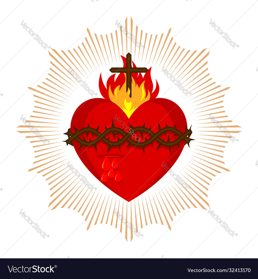 Sacred heart jesus christ Royalty Free Vector Image