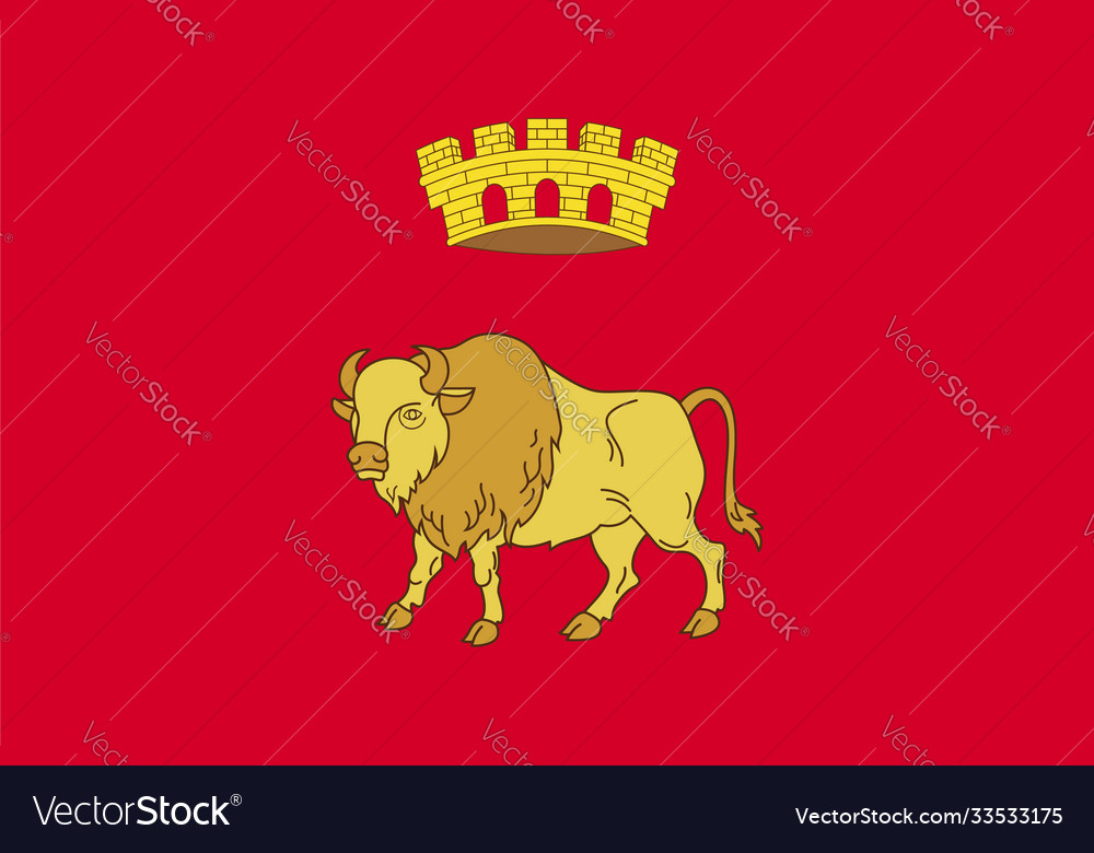 Flag grodno region in republic belarus Royalty Free Vector