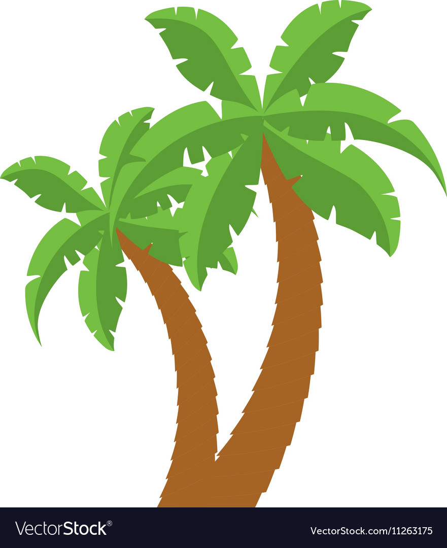 Palm tropical tree isolated icon