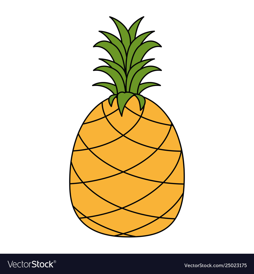 Pineapple fresh fruit healthy Royalty Free Vector Image