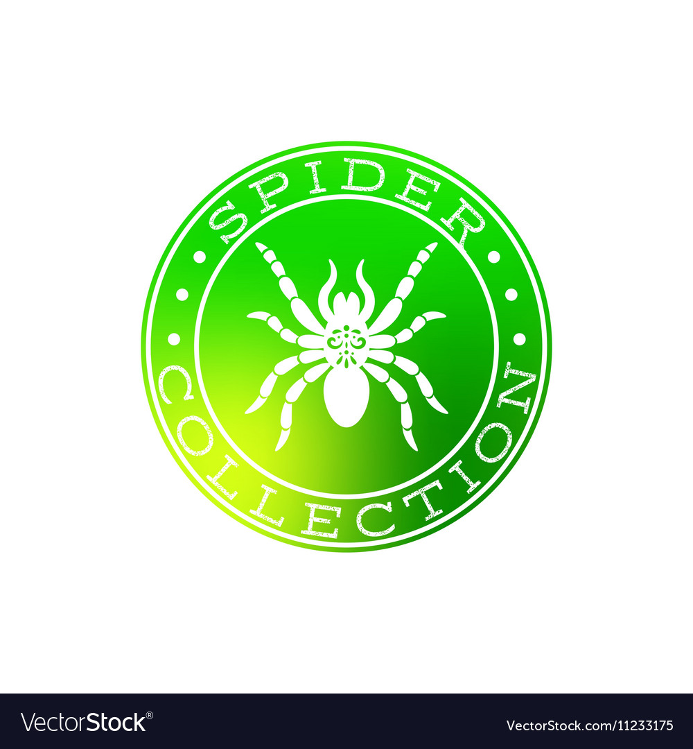 Spider collection white label design Royalty Free Vector