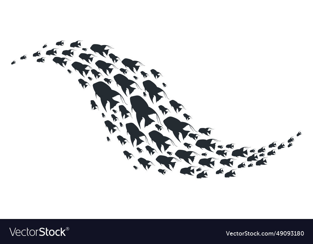 Fish shoal silhouette exotic tropical