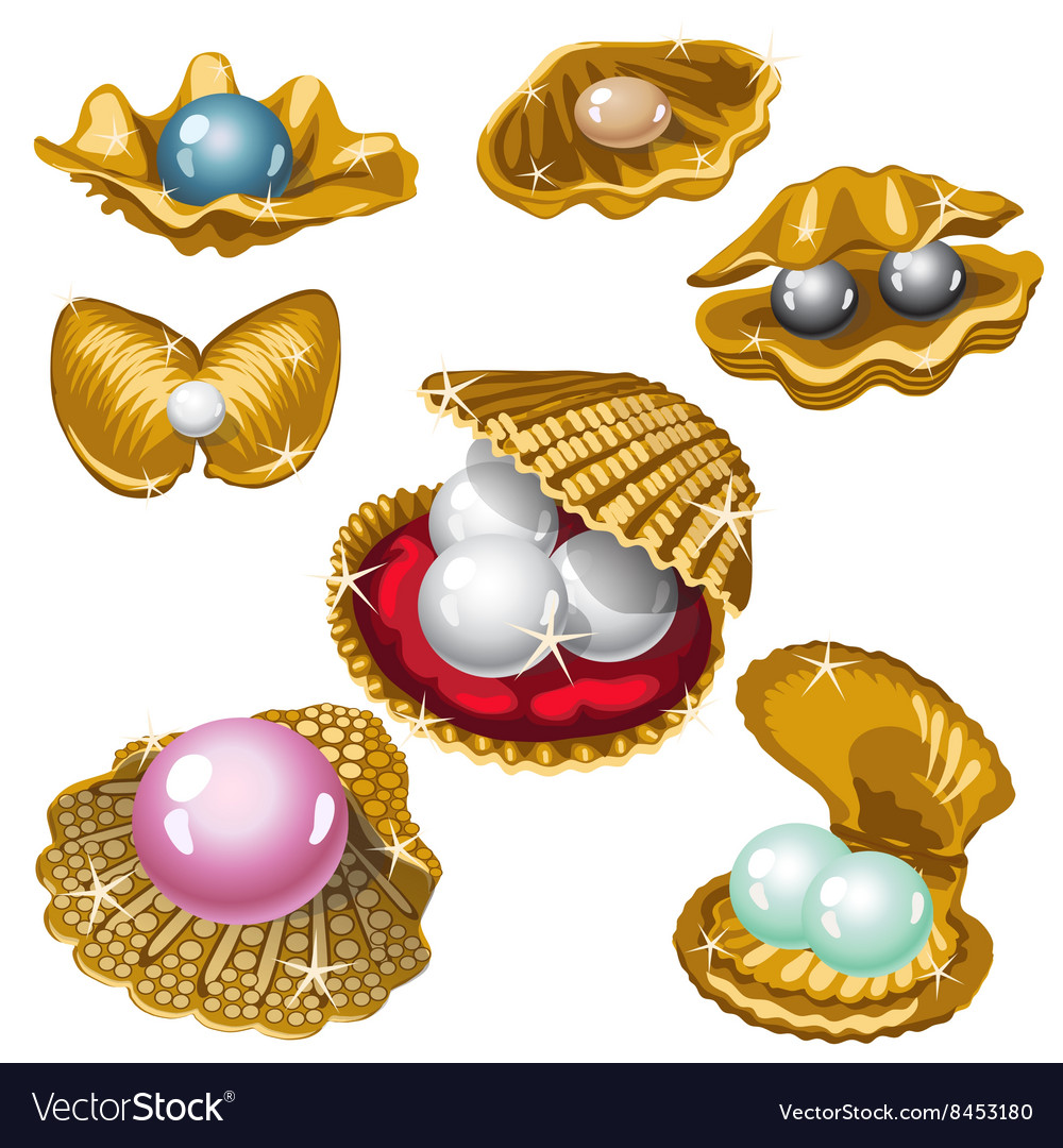 Gold shell with white black pink and blue pearls Vector Image