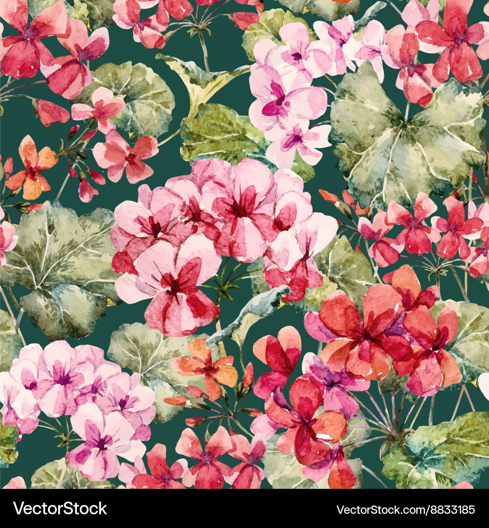 Watercolor geranium pattern Royalty Free Vector Image