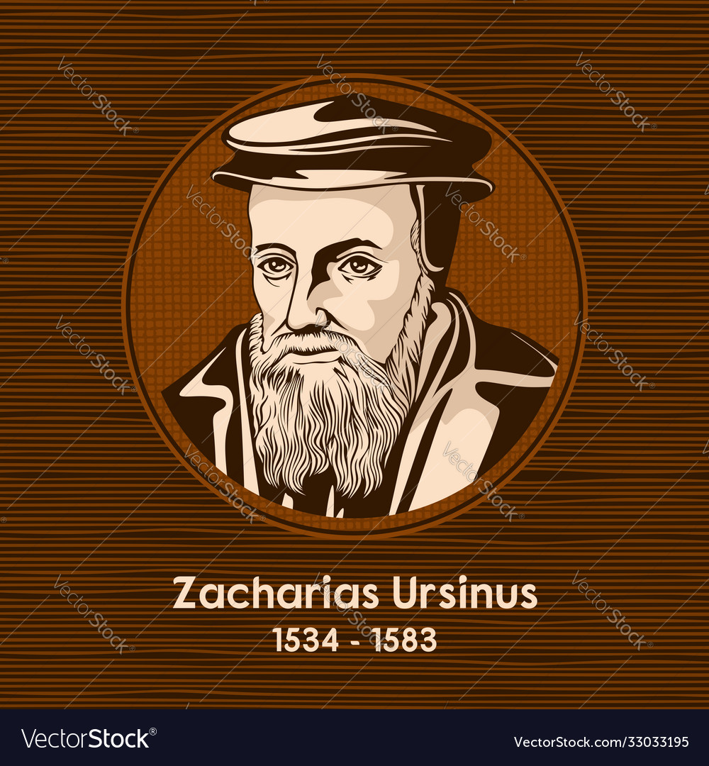 Zacharias ursinus Royalty Free Vector Image - VectorStock