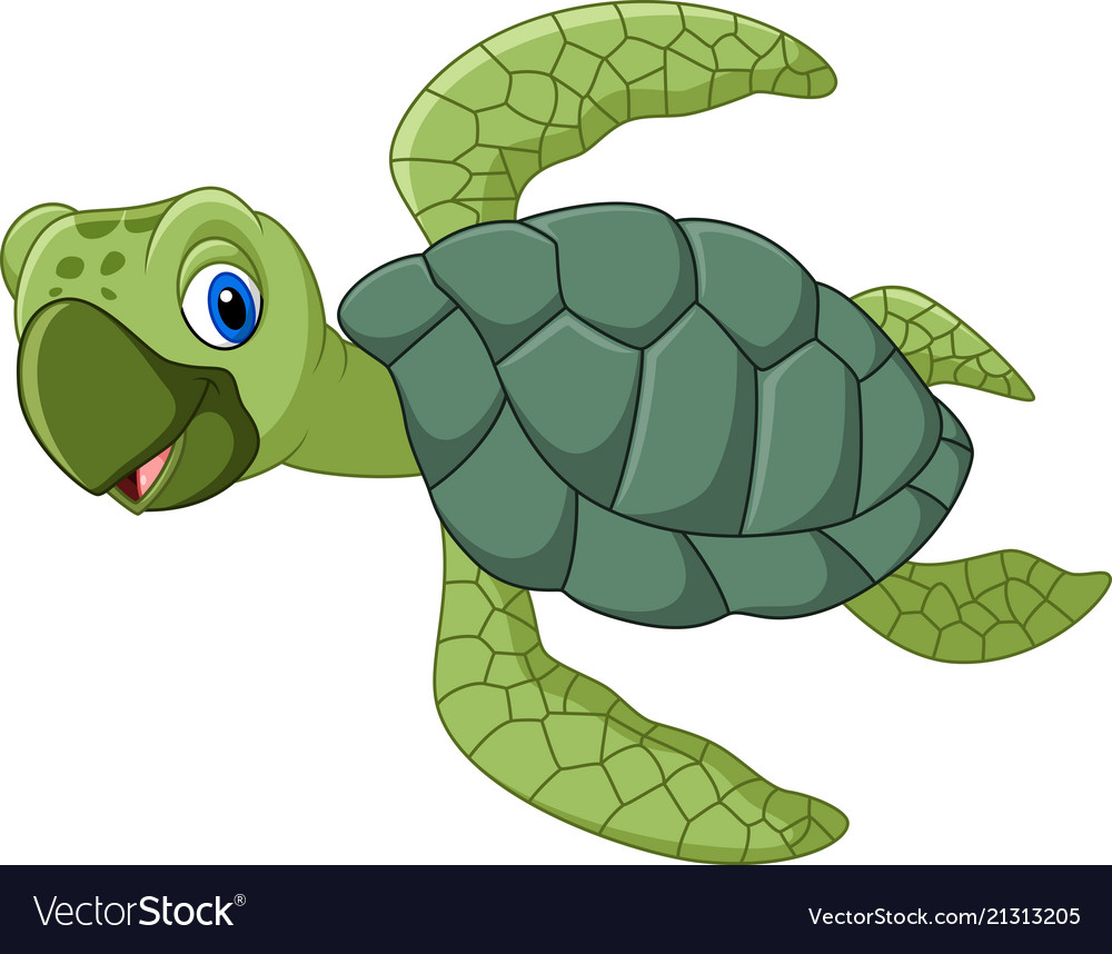 Cute turtle cartoon Royalty Free Vector Image - VectorStock