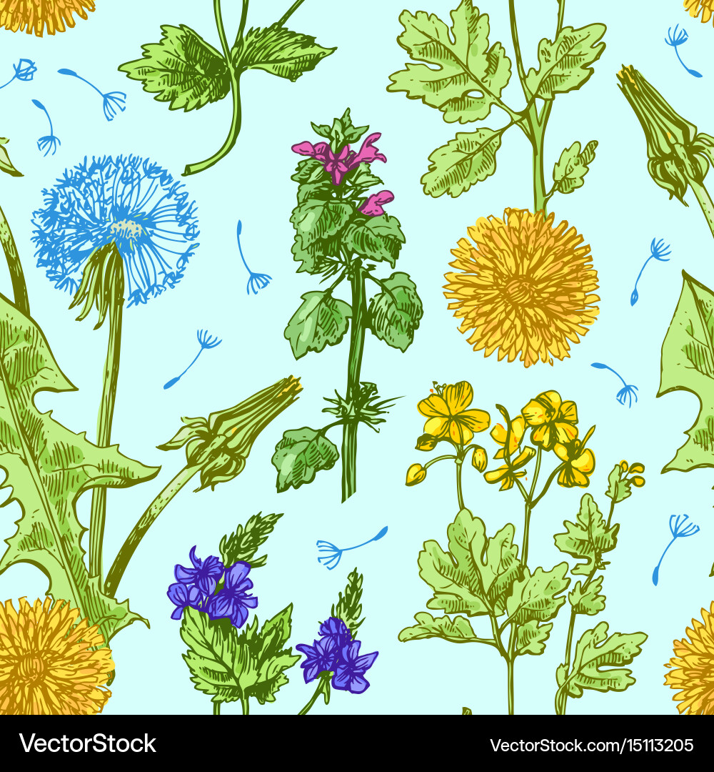 Pattern with wildflowers Royalty Free Vector Image