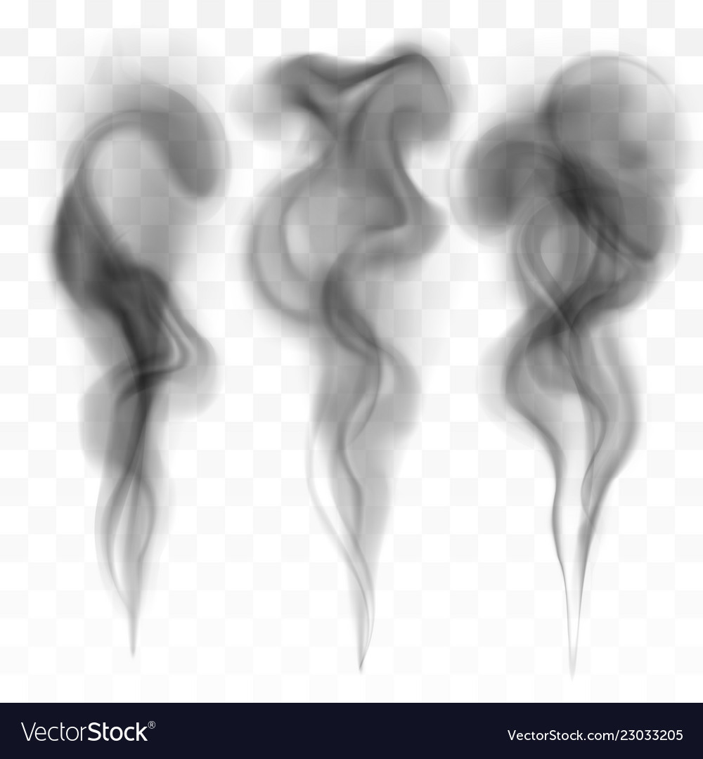 Premium Vector  Set of several realistic transparent smoke or