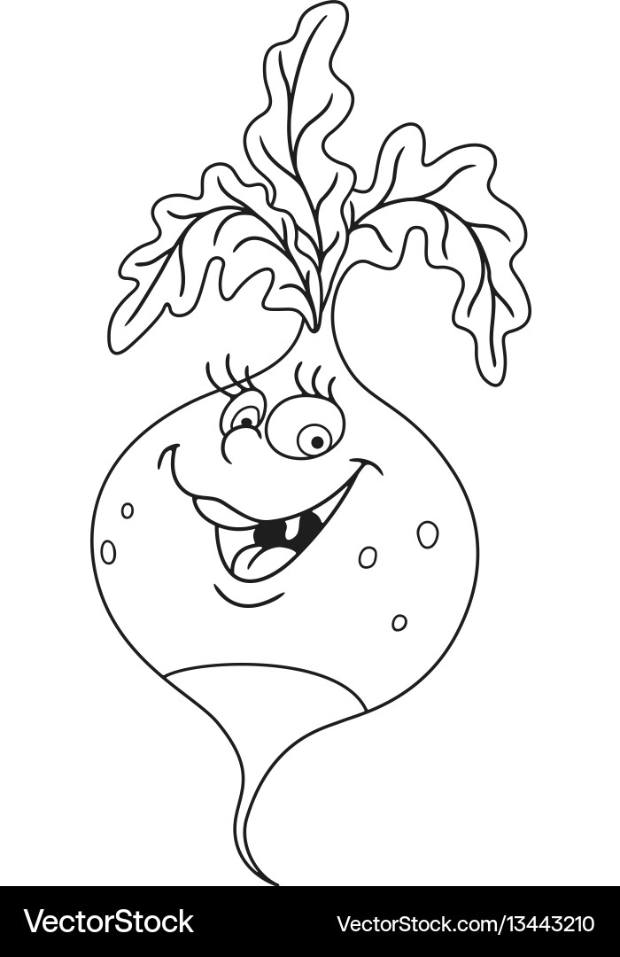 Fresh Radish Cartoon Royalty Free Vector Image