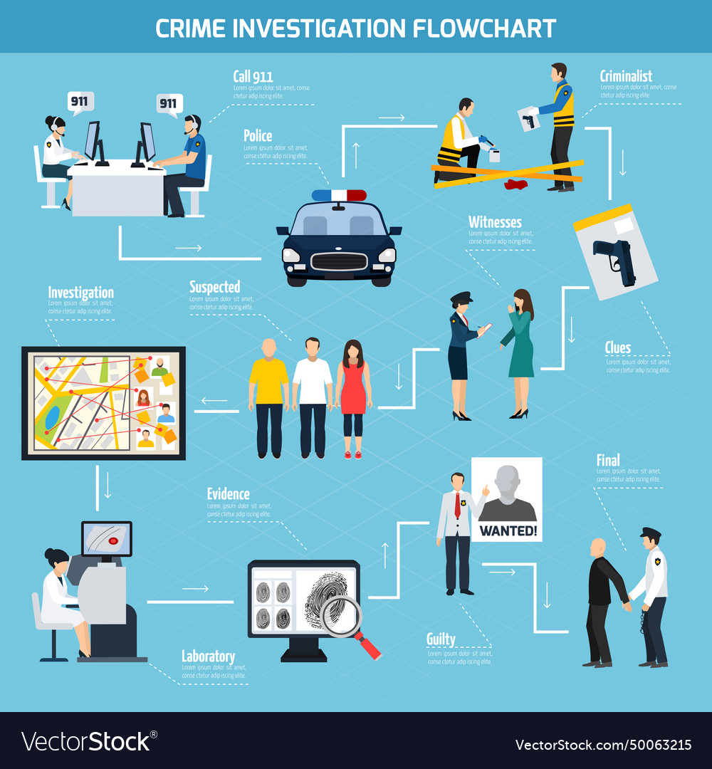 Crime investigation flat flowchart Royalty Free Vector Image