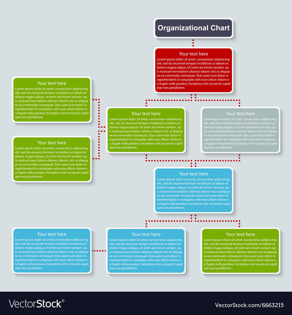 Organization chart template Royalty Free Vector Image